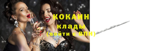 индика Ельня