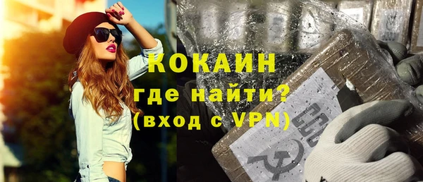 индика Ельня