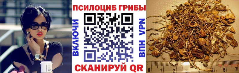 Купить закладки  Миасс  Псилоцибиновые грибы мицелий 